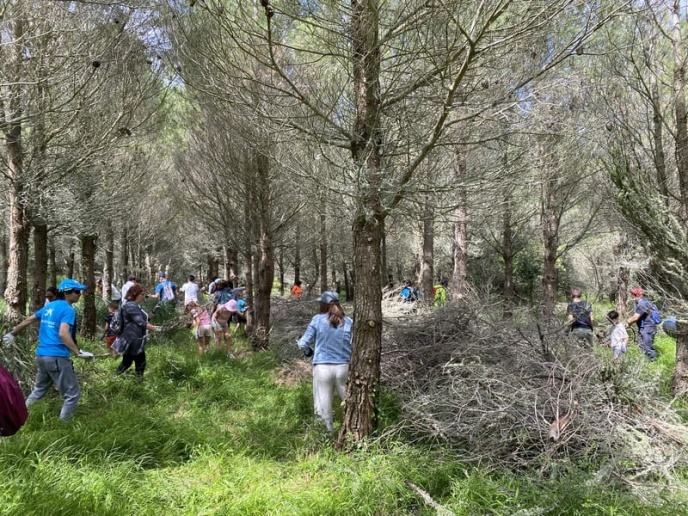 Reforestación del Grupo Respiralia con el Grupo Piñero y Caixabank