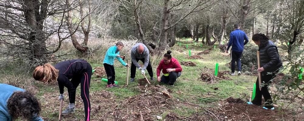 4ª Jornada de plantación en Son Torrella